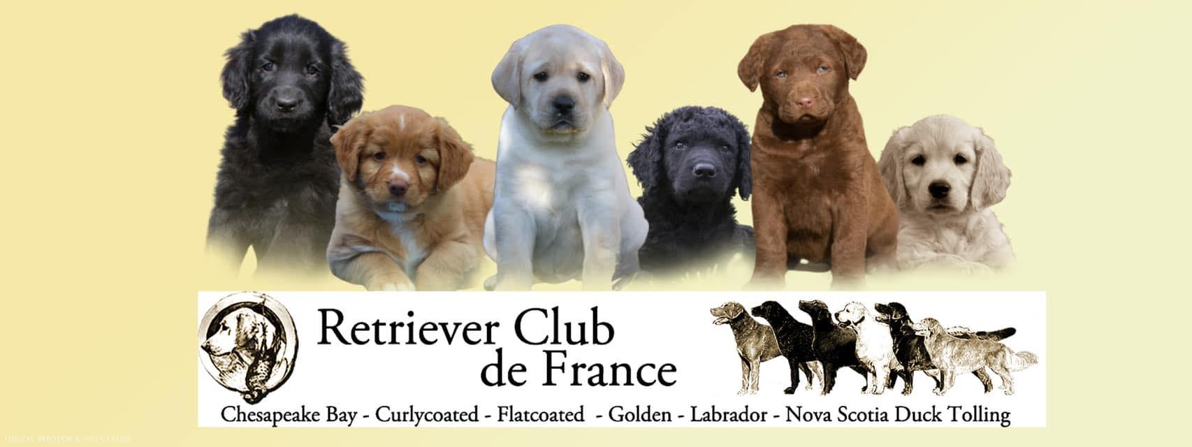 Club retriever