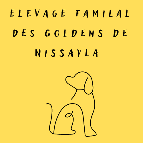 goldensdenissayla